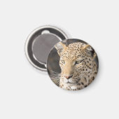 Leopard-Portrait Magnet (Vorderseite/Rückseite)