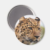 Leopard Portrait Magnet (Vorderseite/Rückseite)