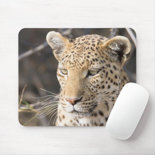 Leopard-Portrait Mousepad (Mit Mouse)