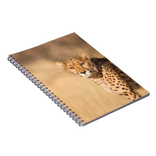 LEOPARD PORTRAIT NOTIZBLOCK (Rechte Seite)