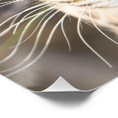 Leopard-Portrait Poster (Ecke)