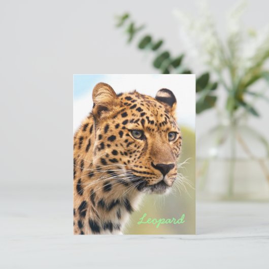 Leopard-Portrait Postkarte (Stehend Vorderseite)