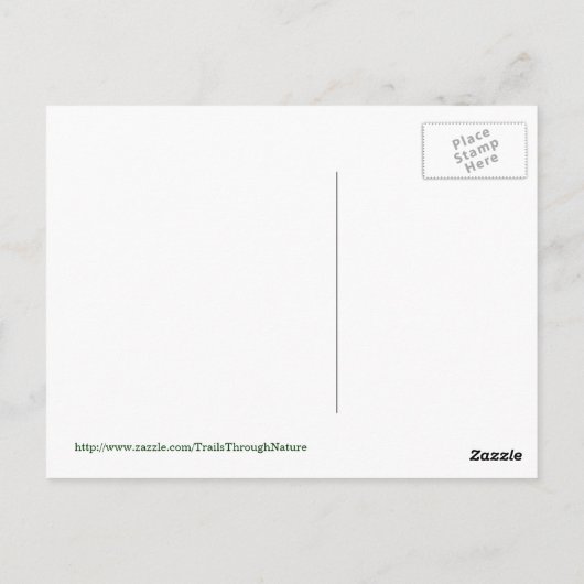 Leopard-Portrait Postkarte (Rückseite)