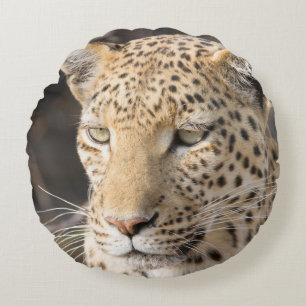 Leopard-Portrait Rundes Kissen