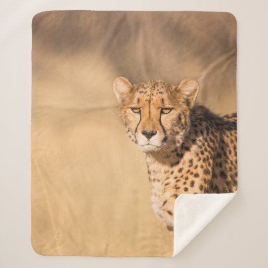 LEOPARD PORTRAIT SHERPADECKE (Vorderseite)