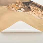 LEOPARD PORTRAIT SHERPADECKE (3/4)