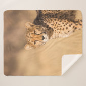 LEOPARD PORTRAIT SHERPADECKE (Vorderseite (Horizontal))