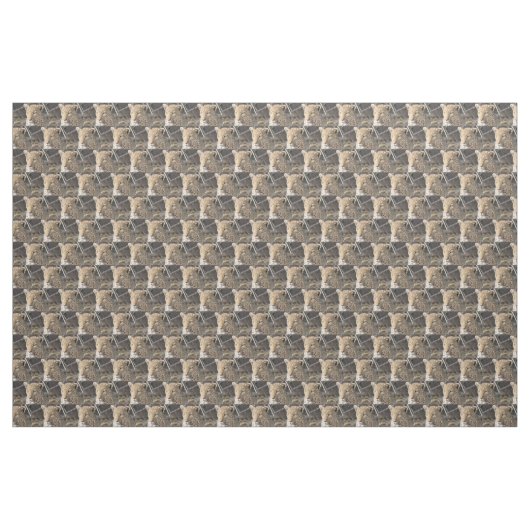 Leopard-Portrait Stoff (Yard (91,4 cm))