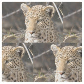 Leopard-Portrait Stoff (Nahaufnahme)