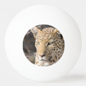 Leopard-Portrait Tischtennisball (Vorderseite)