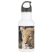 Leopard-Portrait Trinkflasche (Vorderseite)