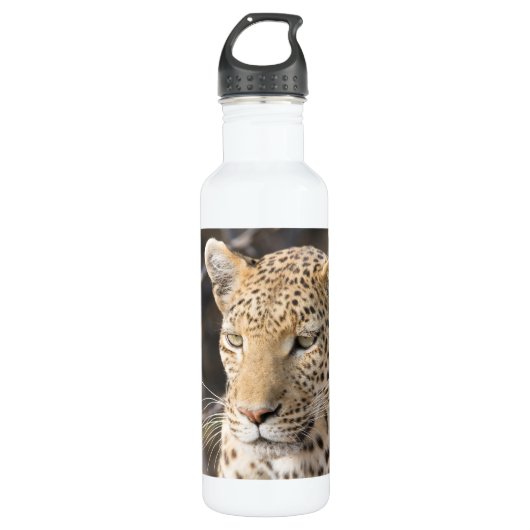 Leopard portrait trinkflasche (Vorderseite)