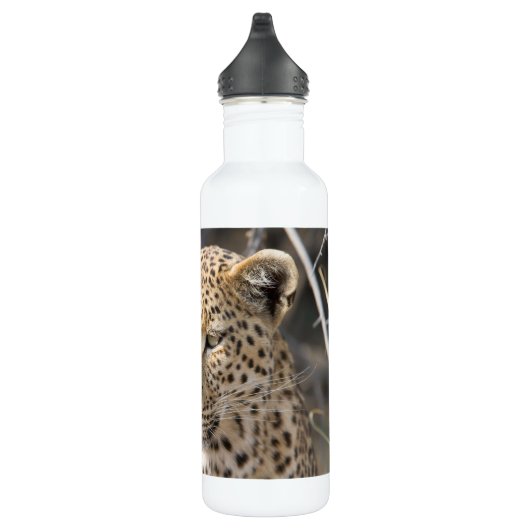 Leopard portrait trinkflasche (Rechts)