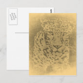 Leopard Portrait Vintage Postkarten (Vorne/Hinten)