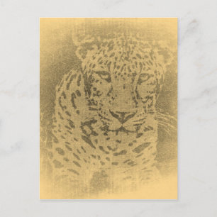 Leopard Portrait Vintage Postkarten