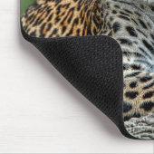 Leopard-Porträt Mousepad (Ecke)