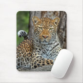 Leopard-Porträt Mousepad (Mit Mouse)