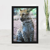 Leopard-Pose Karte (Vorderseite)