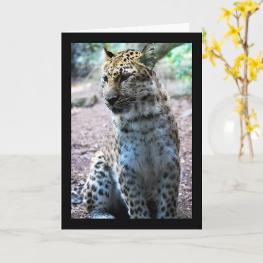 Leopard-Pose Karte (Gelbe Blume)