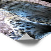 Leopard-Pose Poster (Ecke)