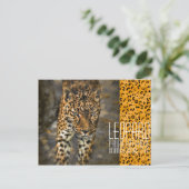 Leopard [Postcard] Postkarte (Stehend Vorderseite)