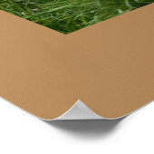 Leopard Poster (Ecke)