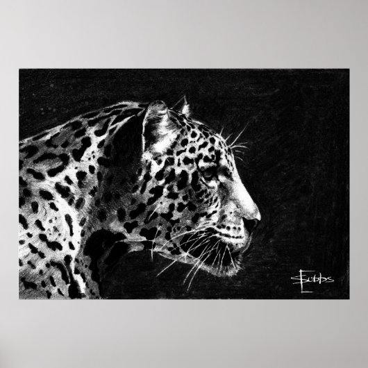 Leopard Poster (Vorne)