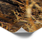 Leopard Poster (Ecke)