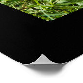 Leopard Poster (Ecke)