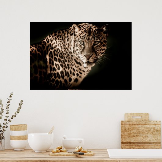 Leopard Poster (Küche)