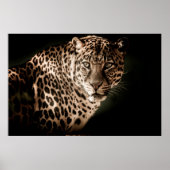 Leopard Poster (Vorne)