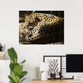 Leopard Poster (Heimbüro)