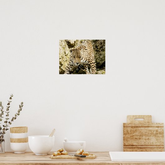 Leopard Poster (Küche)