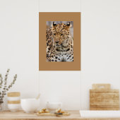 Leopard Poster (Küche)