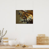 Leopard Poster (Küche)