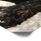 Leopard Poster (Ecke)