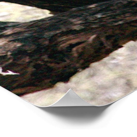 Leopard Poster (Ecke)