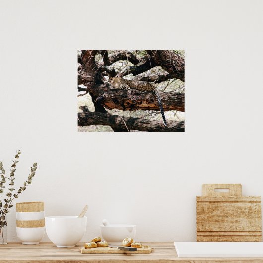 Leopard Poster (Küche)