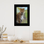 Leopard Poster (Küche)