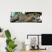 Leopard Poster 36x12 oder nur kleinere Größe (Heimbüro)