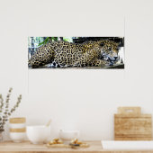 Leopard Poster 36x12 oder nur kleinere Größe (Küche)