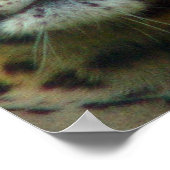 Leopard Poster Print (Ecke)