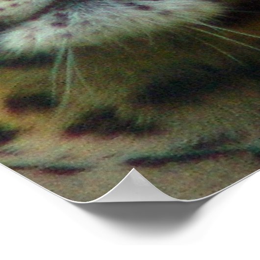 Leopard Poster Print (Ecke)