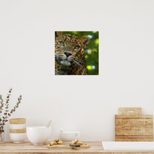 Leopard Poster Print (Küche)