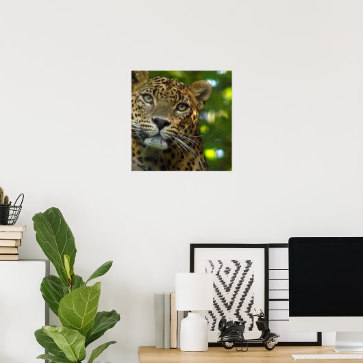 Leopard Poster Print (Heimbüro)