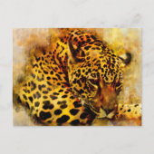 Leopard Postkarte (Vorderseite)