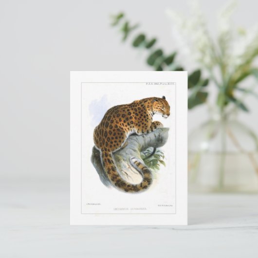 Leopard Postkarte (Stehend Vorderseite)
