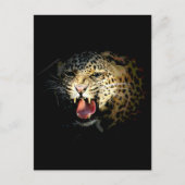 Leopard Postkarte (Vorderseite)