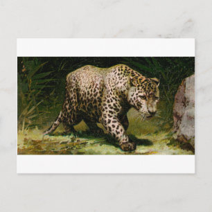 Leopard Postkarte