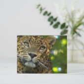 Leopard Postkarte (Stehend Vorderseite)
